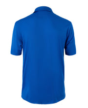 back view of blue button down polo